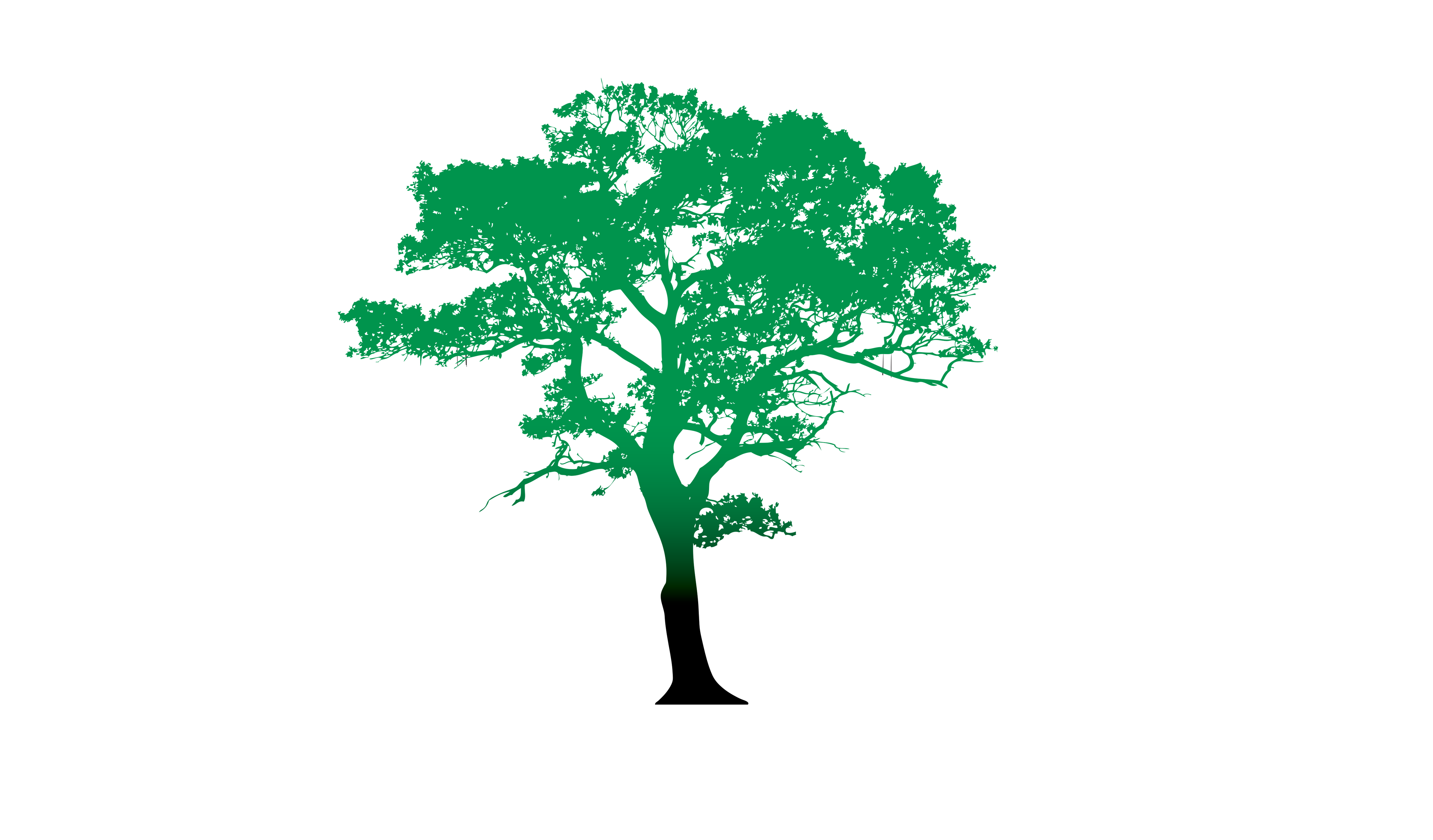 StromExpert